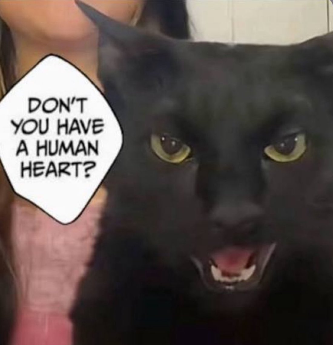 jujutsukaisenfan774 tweet media