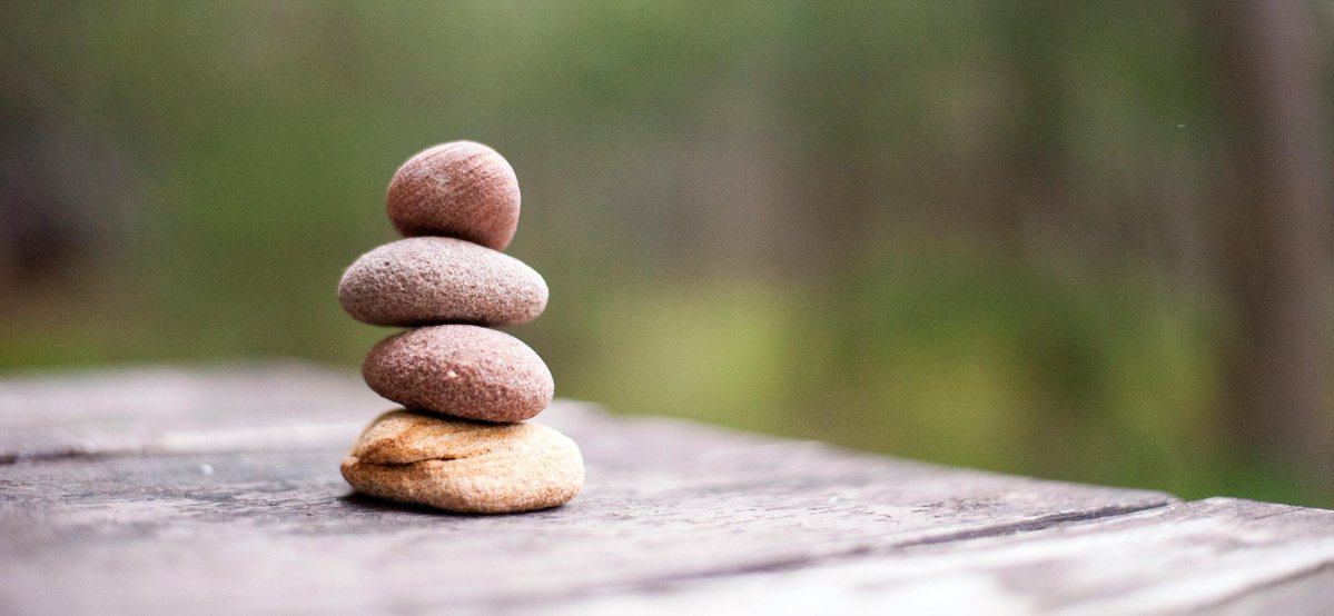 محمد بديري tweet media