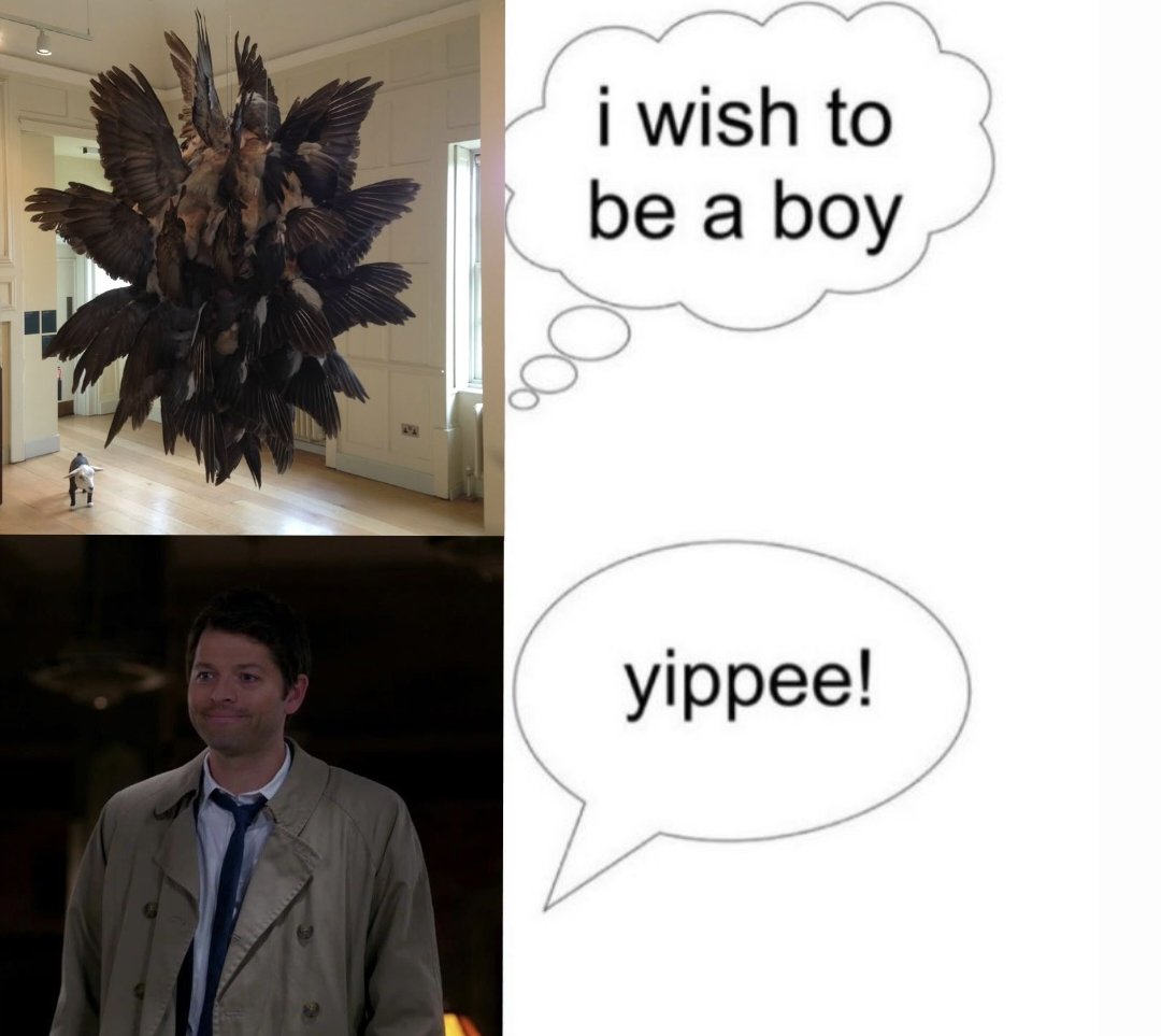 Lana 🐦‍⬛ r*ssians dni tweet media