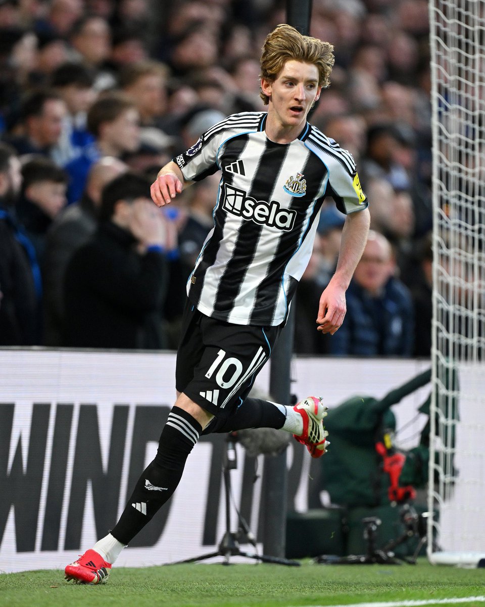 محٍيد tweet media