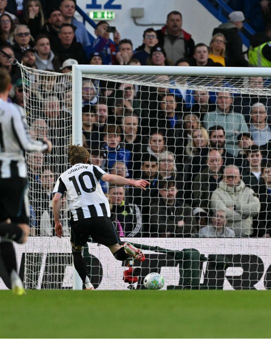 محٍيد tweet media