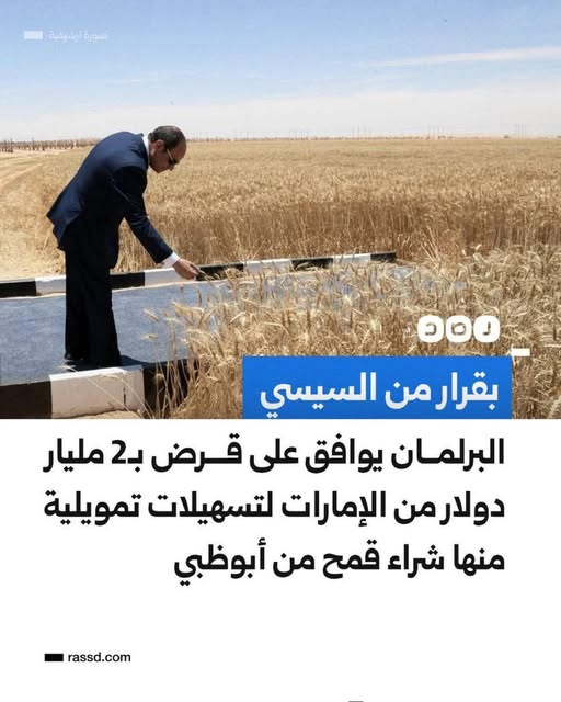 ERC_egy's tweet photo. الأرض ارضنا بيعناها بتراب الفلوس للامارات، والزرع من ايدينا العاملة ويشرب من مياه النيل بتاعنا ولما الارض تنتج القمح اللي احنا محتاجينه جداً في #مصر، نستلف من #الامارات 2 مليار  دولار لنشتريه!! ما يحدث شي غريب فاق كل وسائل النصب والفساد المعروفة. https://t.co/UQejs8amSL