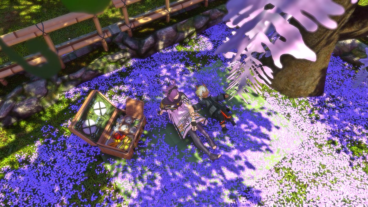 天空貓咪☁️ tweet media