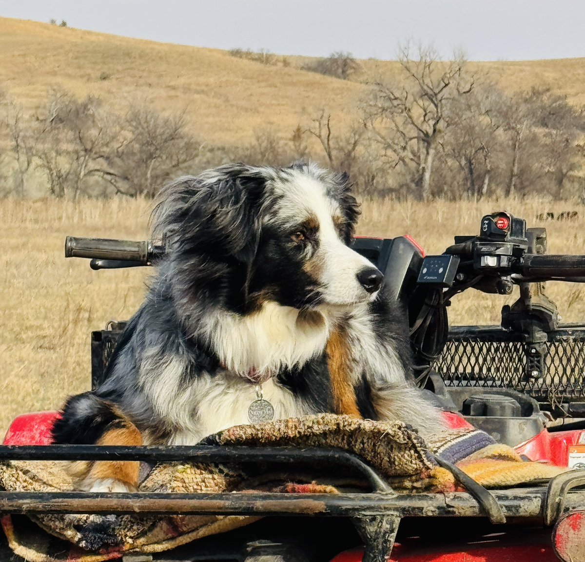 The Rancher tweet media