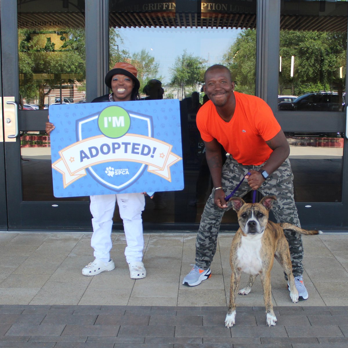 Houston SPCA tweet media