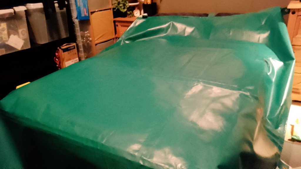 Roofuzz 25 @inflatedRoo🎈🦊 tweet media