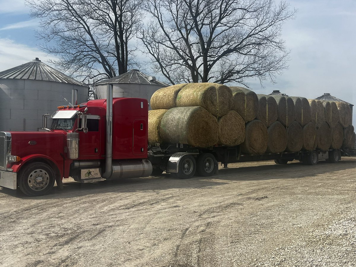 Maria Cox tweet media