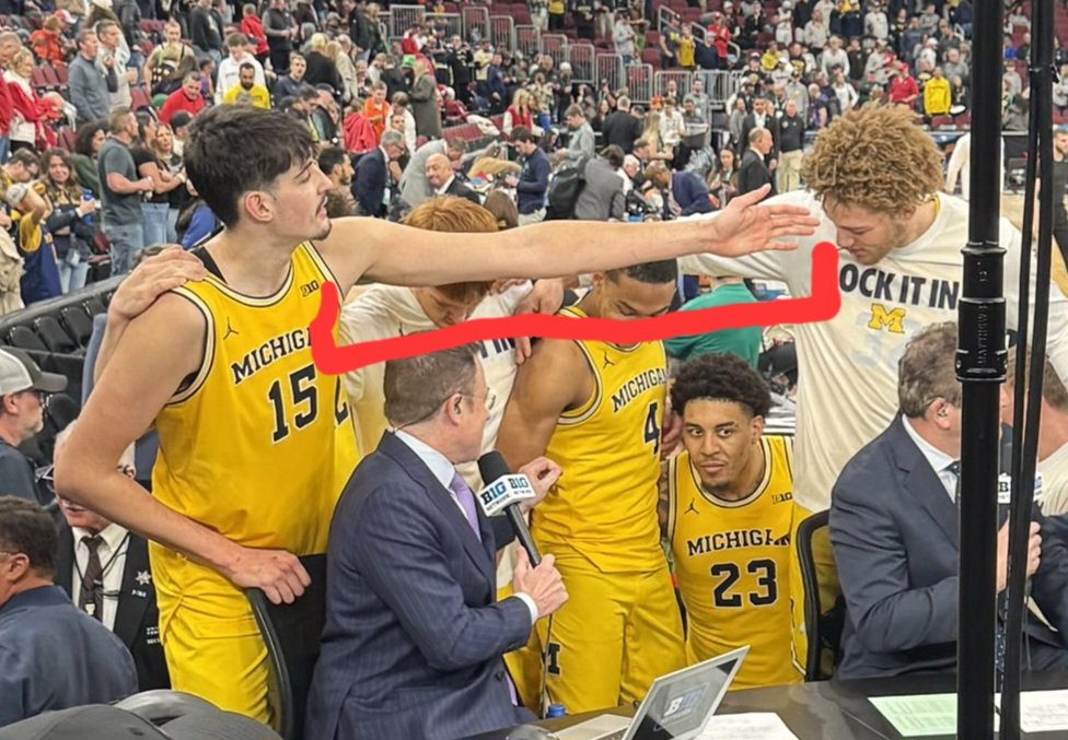 ᴡᴏʟᴠ tweet media