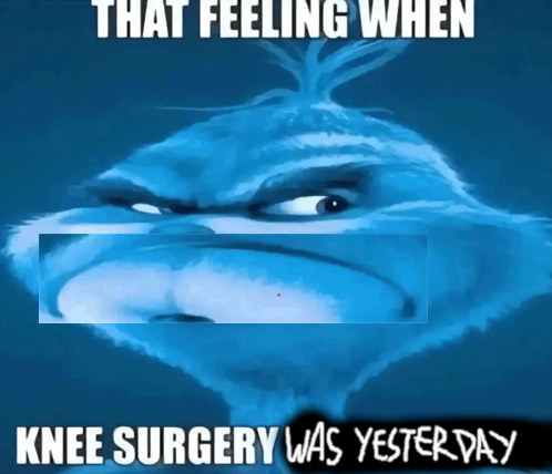 BlueYoshi_57EML tweet media