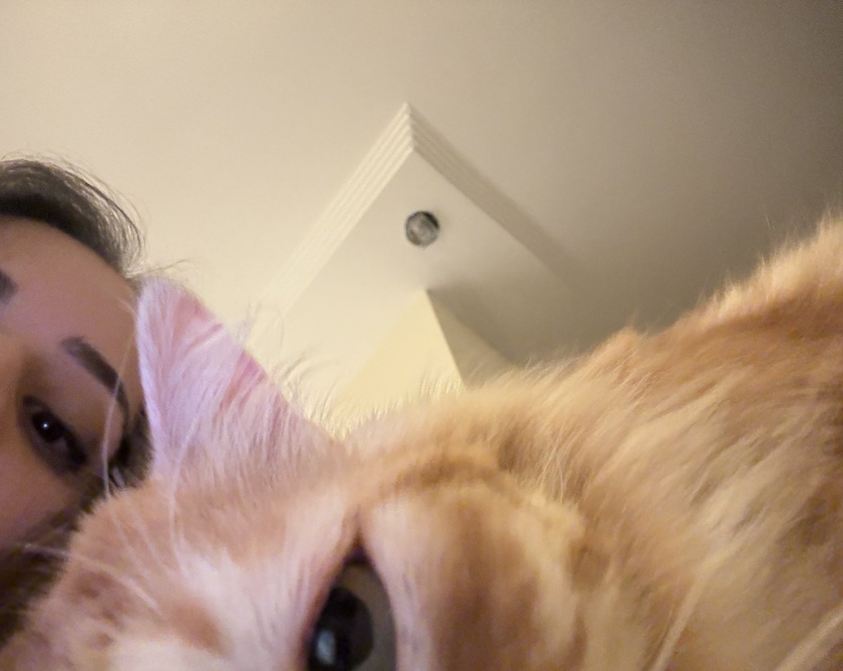 we’re watching you guys