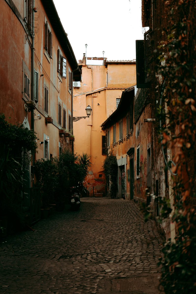 Per gli amici solo Sè tweet media