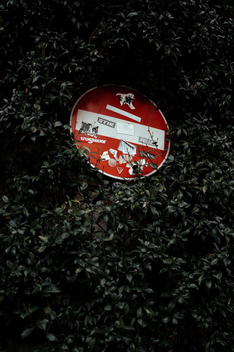 Per gli amici solo Sè tweet media