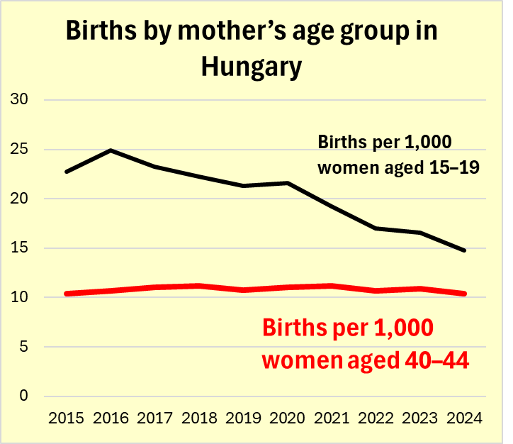 Csaba G. Tóth tweet media