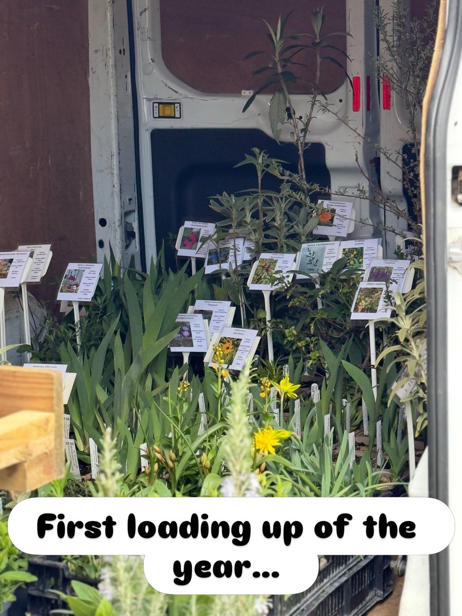 Seagate Nurseries tweet media