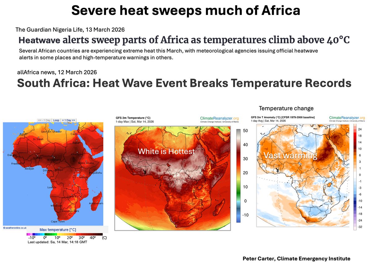 Peter D Carter tweet media