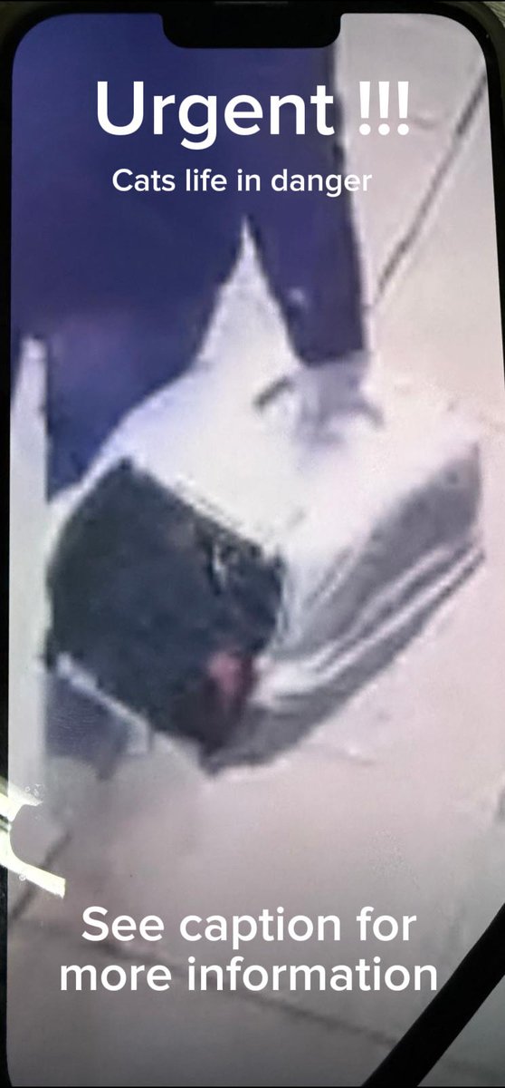 Celia Hammond tweet media