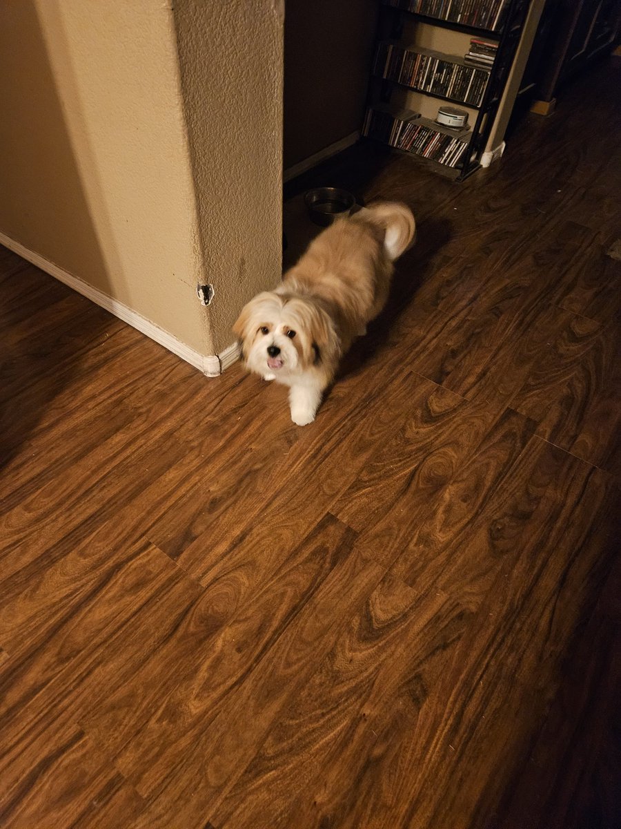 CProffitt8's tweet photo. 8 months old https://t.co/rJmtgp5V4D