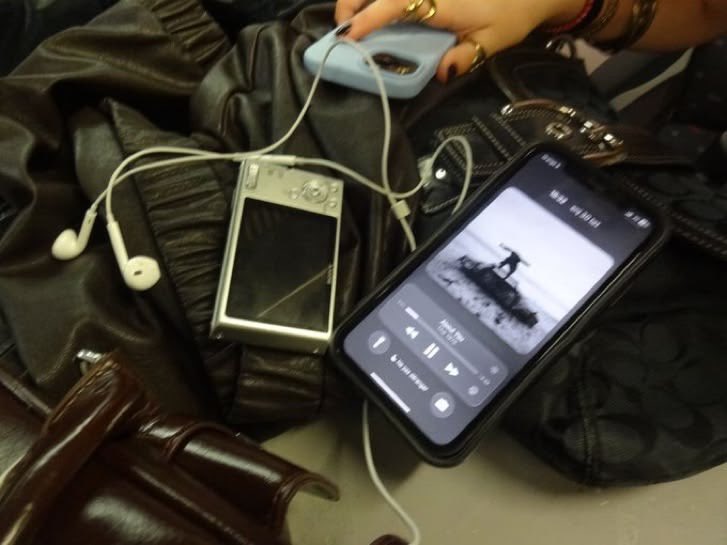 p˚୨୧⋆｡🐈˚ ⋆ tweet media