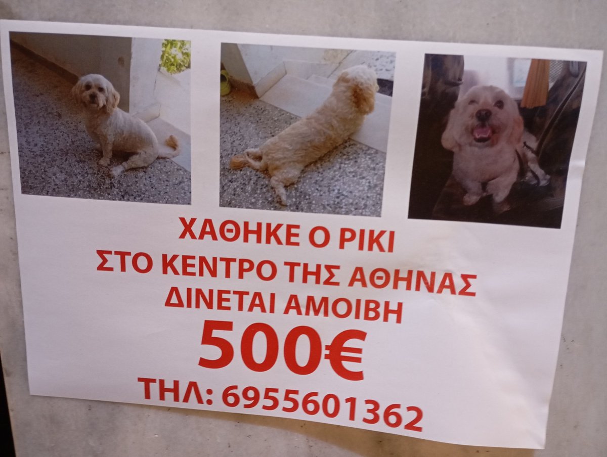 Χάθηκε - Αθήνα, κέντρο. Μήπως τον είδατε;