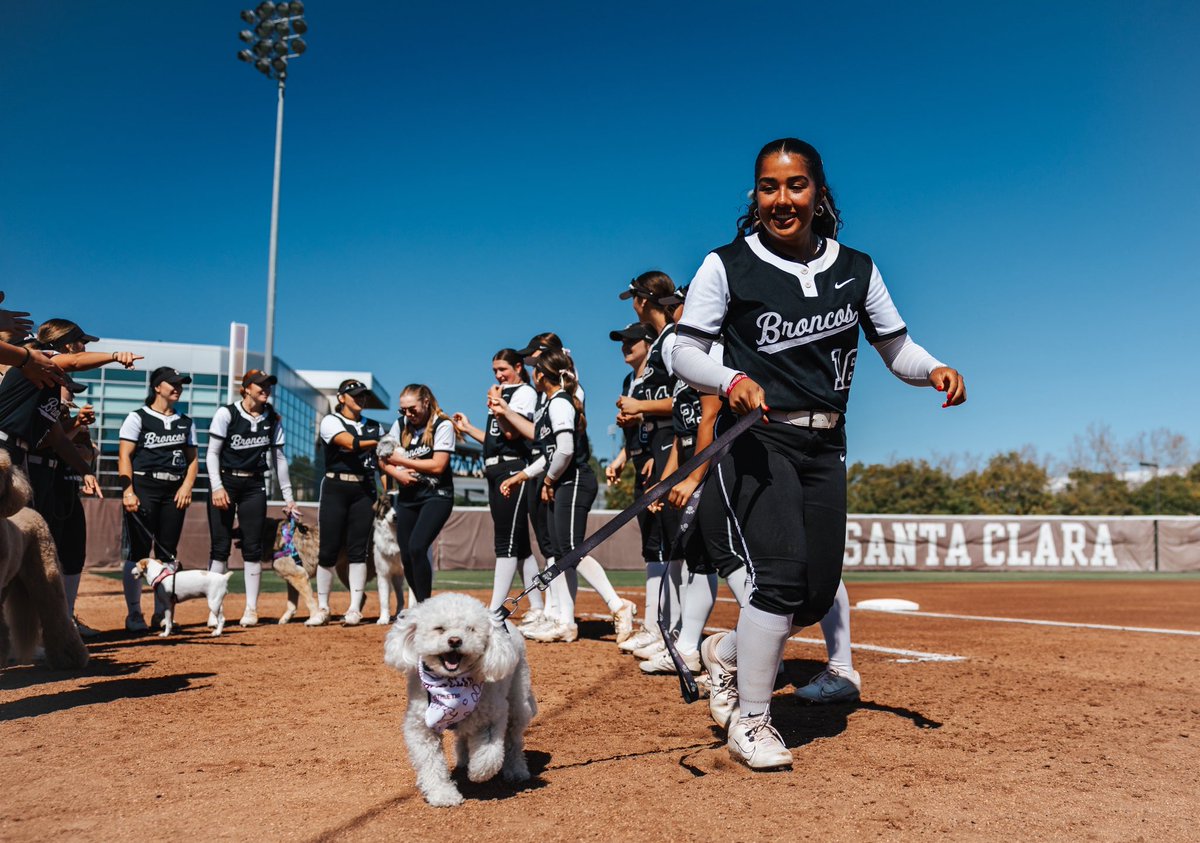 Santa Clara Softball tweet media