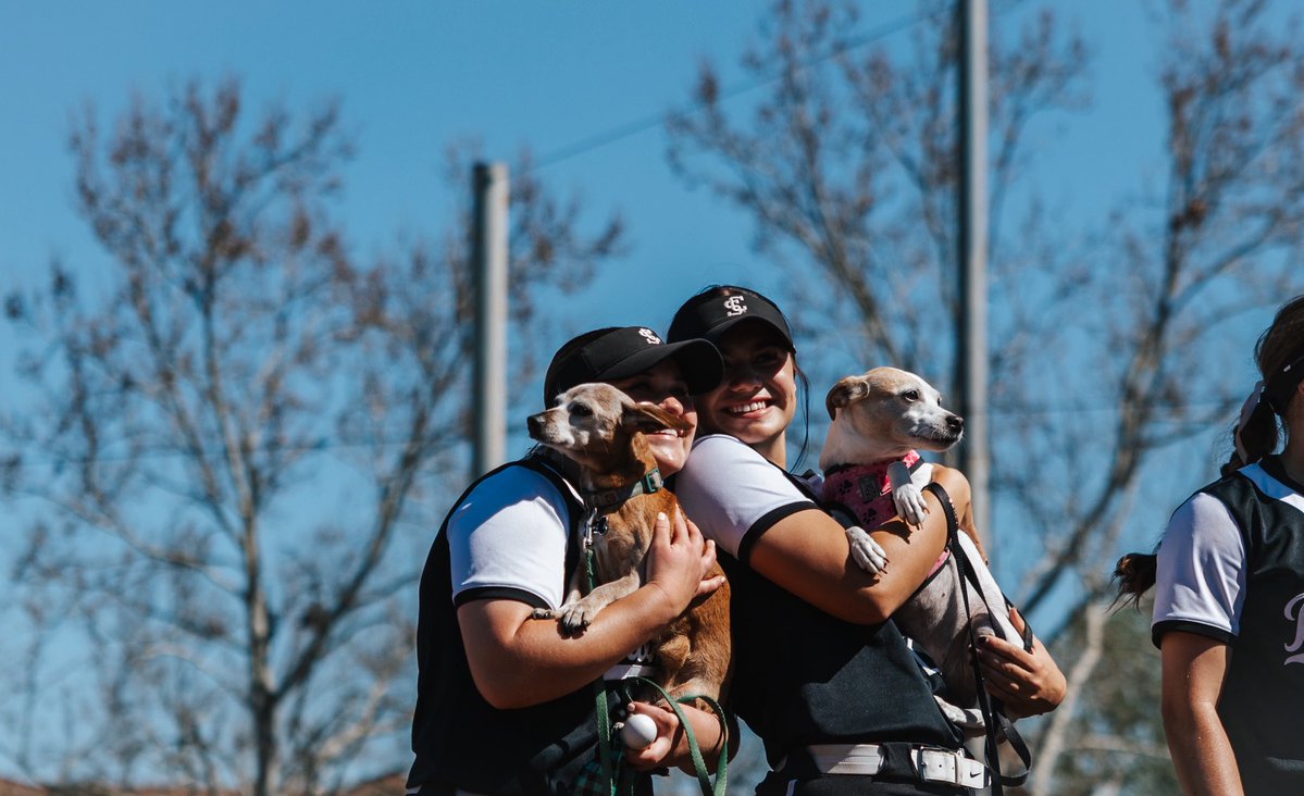 Santa Clara Softball tweet media