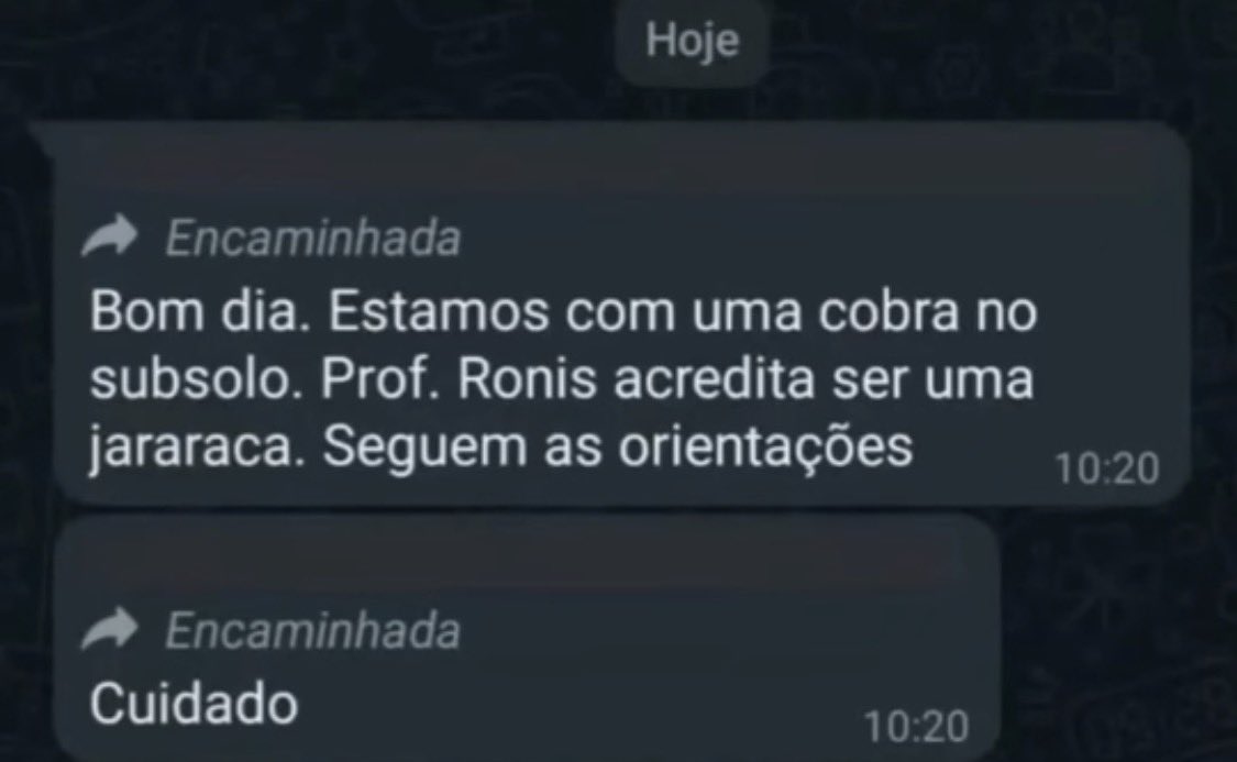 seguem as orientações