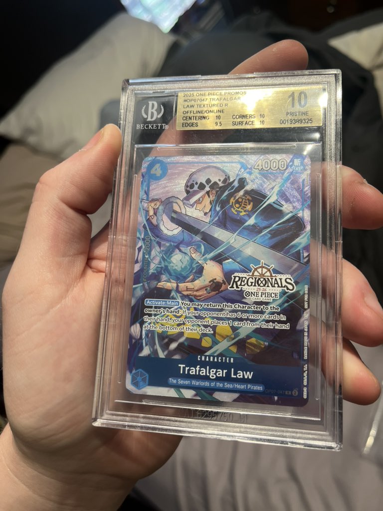 Logan P. tweet media