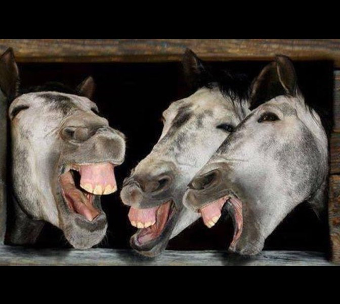 haldun erdinç tweet media