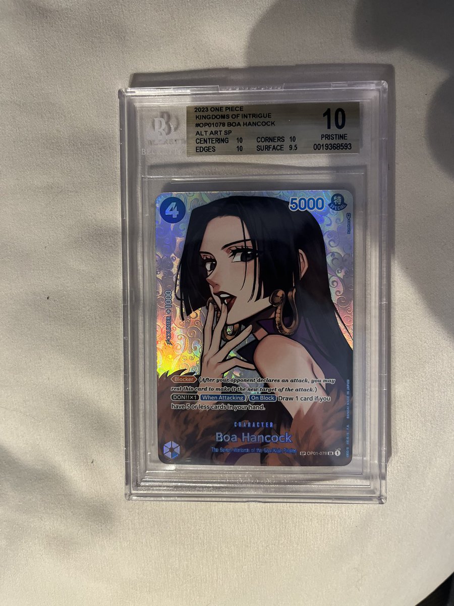 Logan P. tweet media