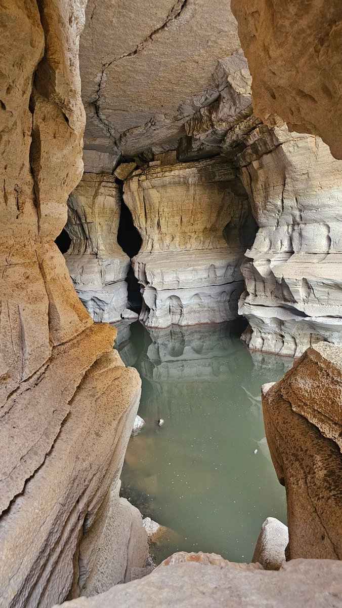 Kindeya Gebrehiwot, PhD, Prof tweet media