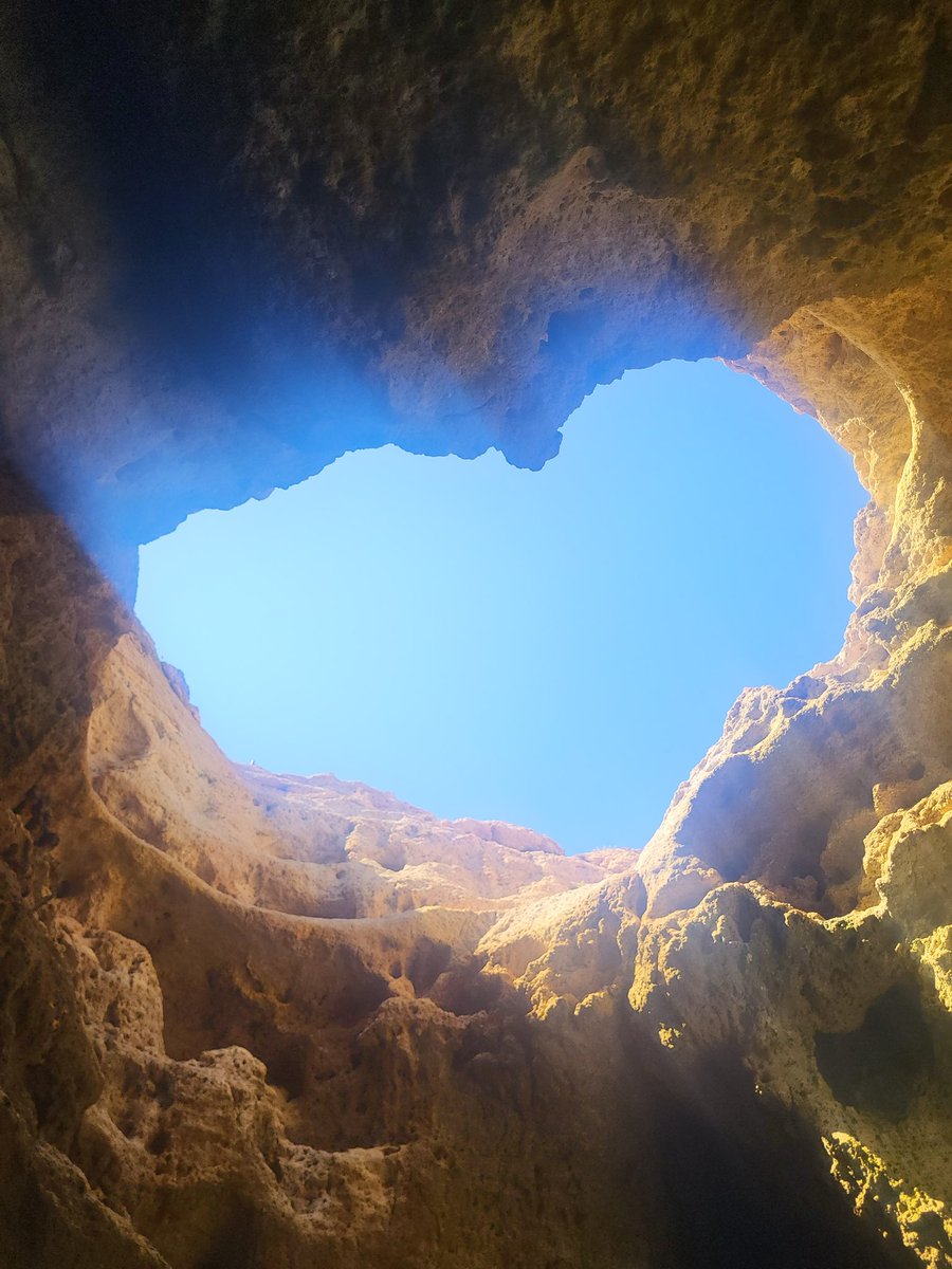 Leeds born, Leeds bred tweet media