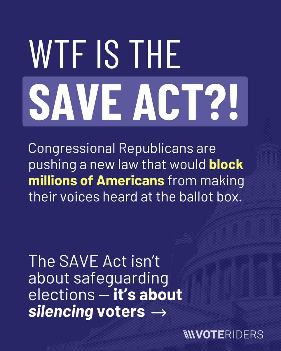 Bridget D 🌷🪻⚘️🦋 tweet media