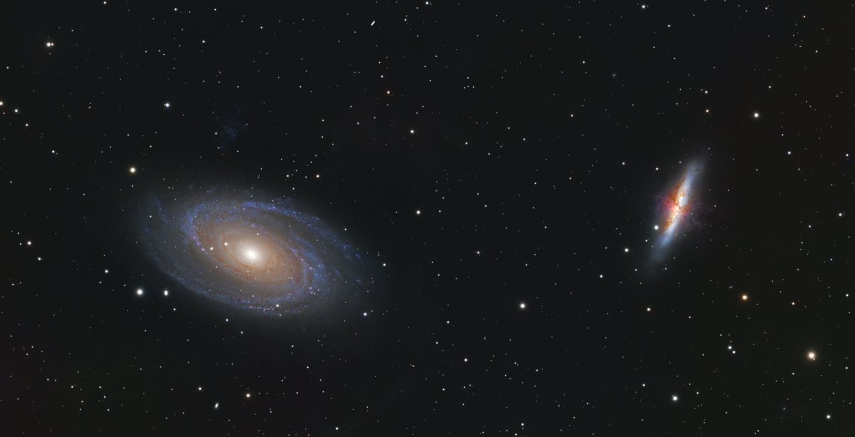 David Diebold 🚀 tweet media