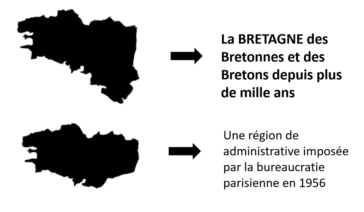 Yann Servais 𝍎𝌆 tweet media