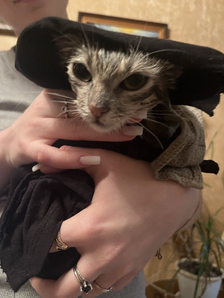 🏴‍☠️дашуня пират медный бомгю tweet media