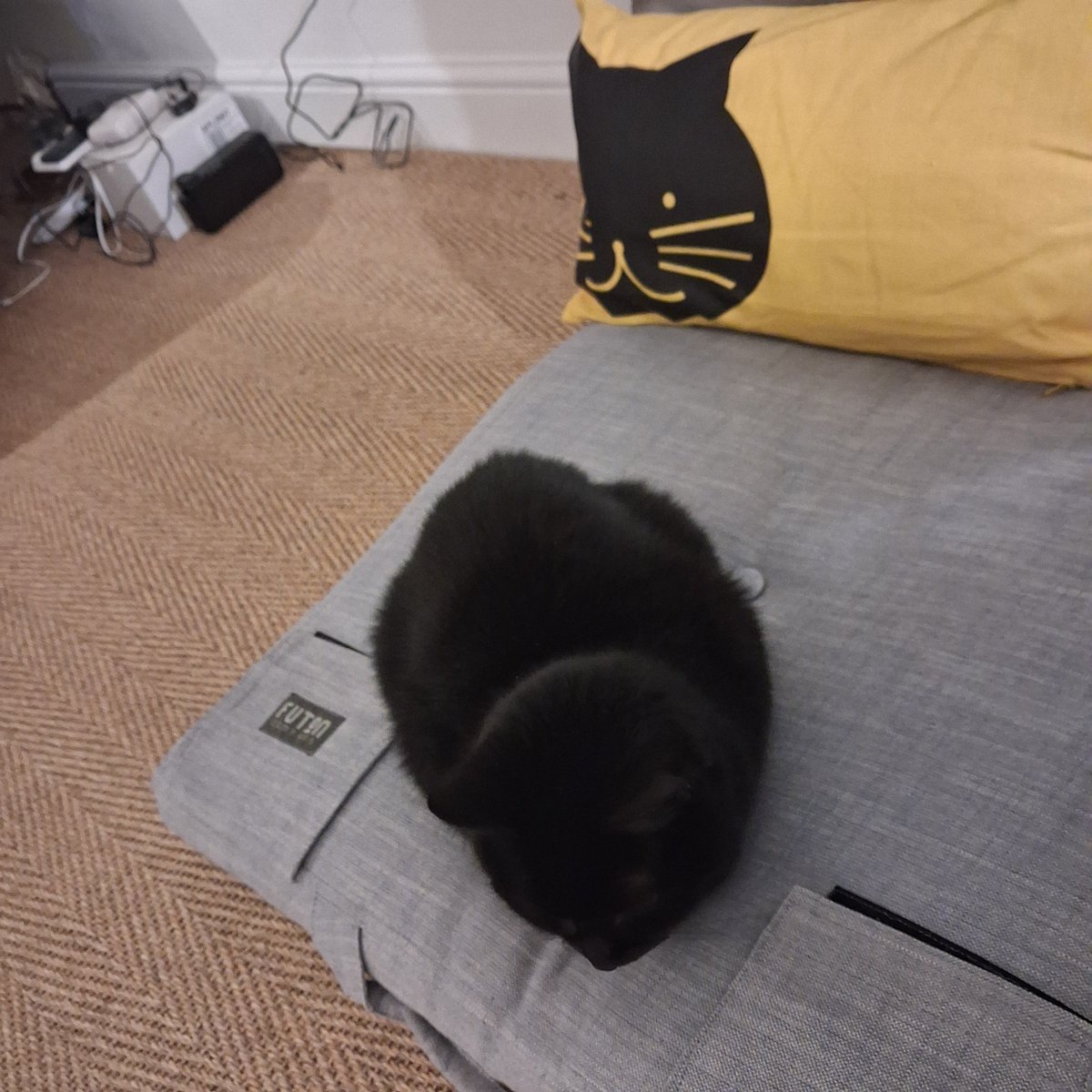 umbrelladata tweet media