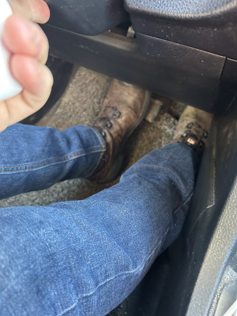 Shep🖌🐾 tweet media