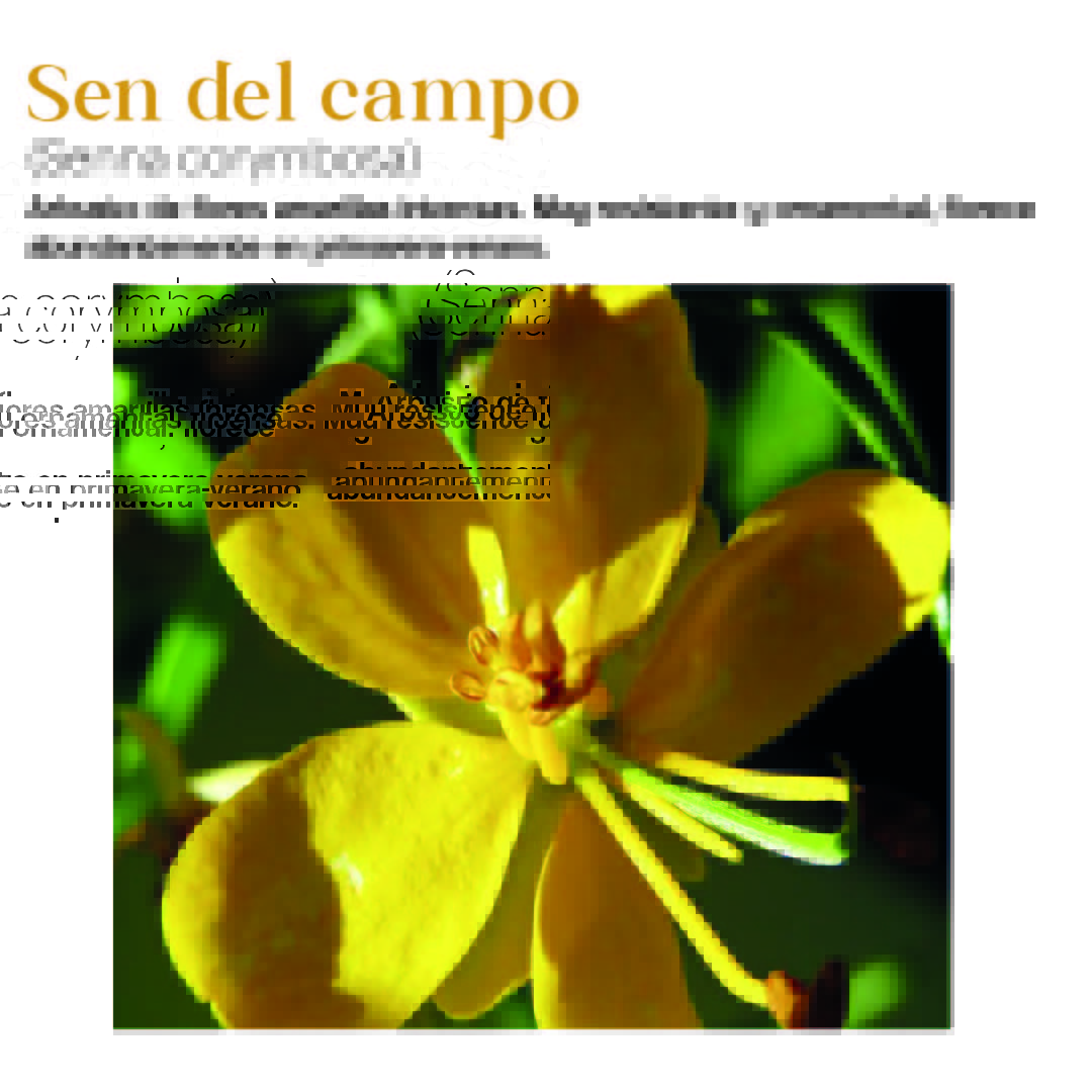 Arquitectura, Paisaje y Patrimonio tweet media