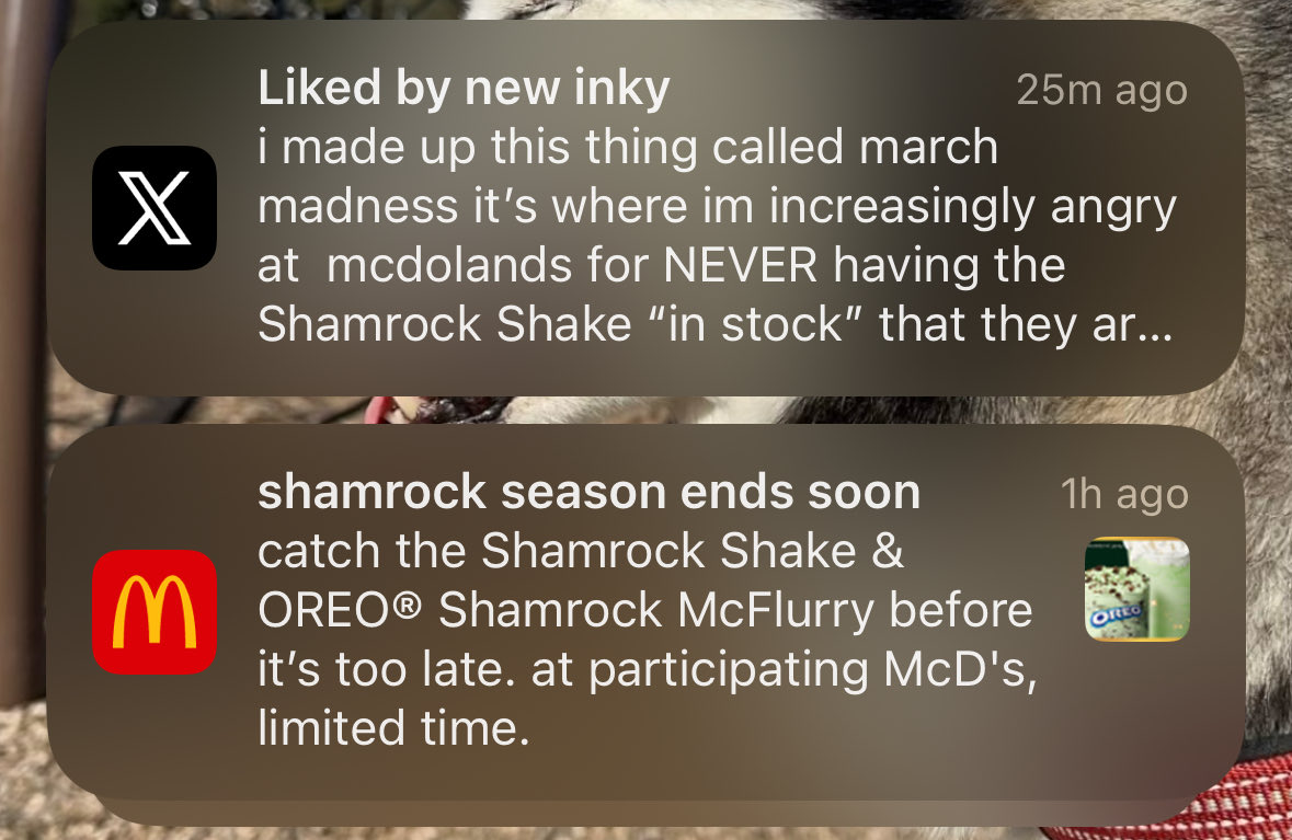 gabr̷ie̷l̷l̷e̷🔜𝓛𝓐 tweet media