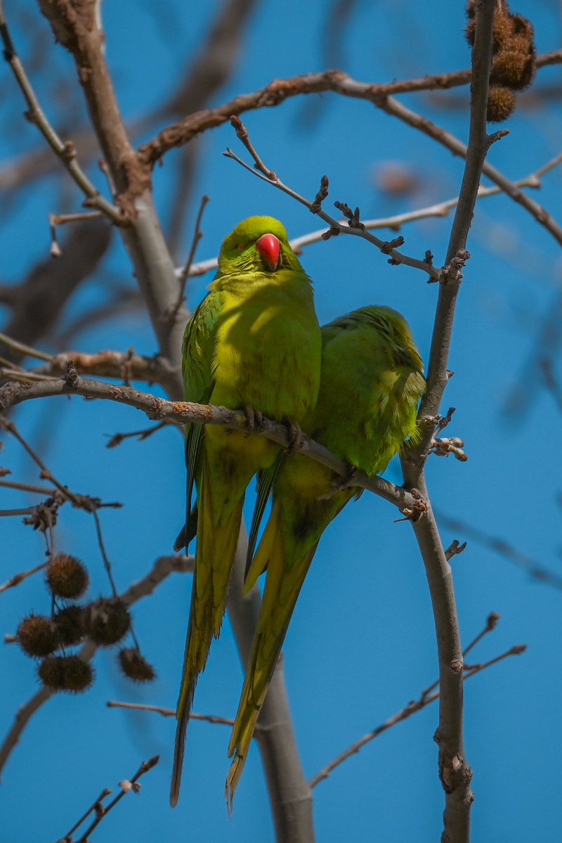 риби тонуть в чорних водах tweet media