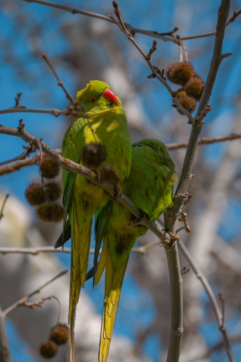 риби тонуть в чорних водах tweet media