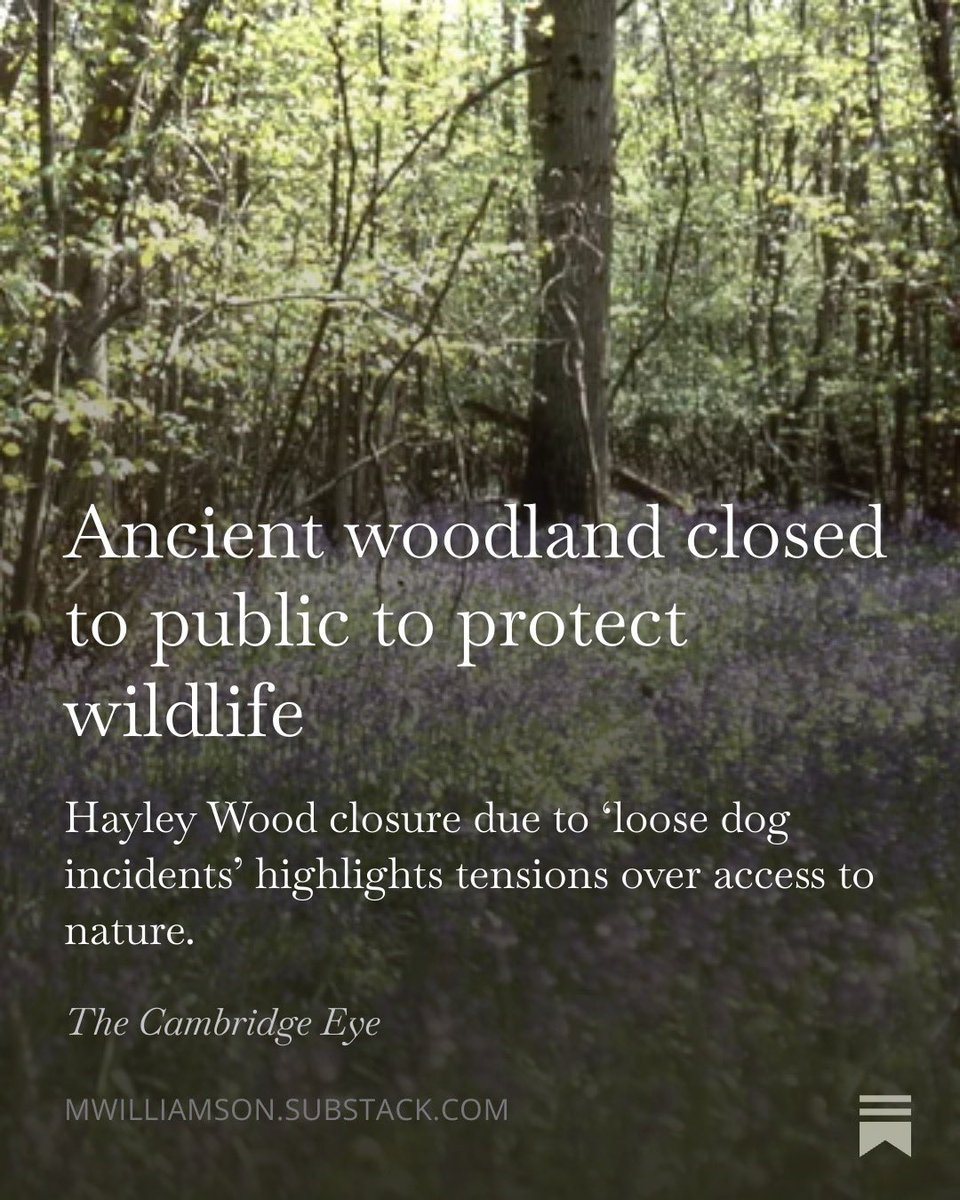 Mark Williamson tweet media