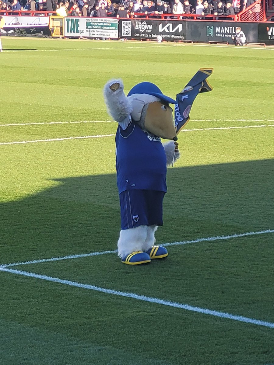 Steven Clarke tweet media