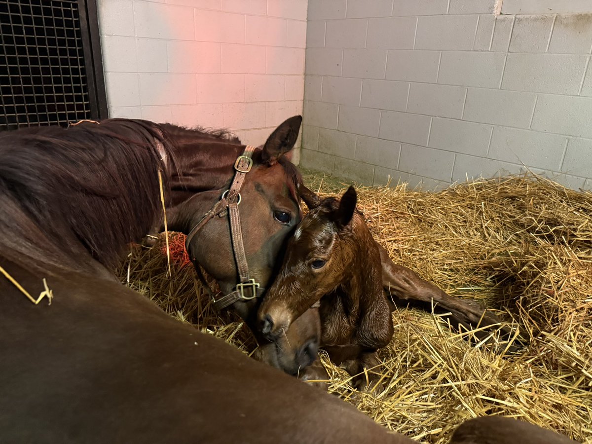 Javier I. Farache tweet media