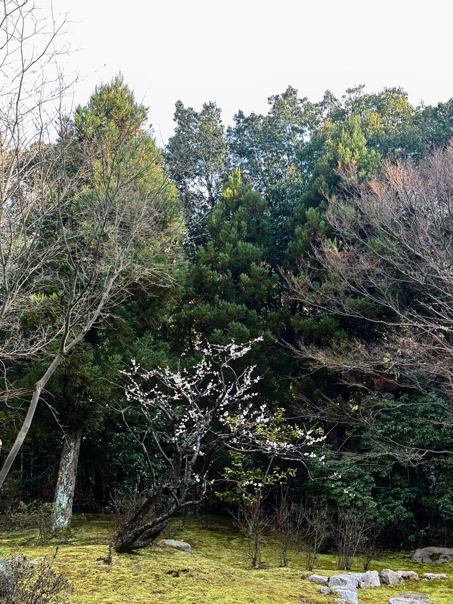 ִֶָ. ..𓂃oli🪽་༘࿐ tweet media