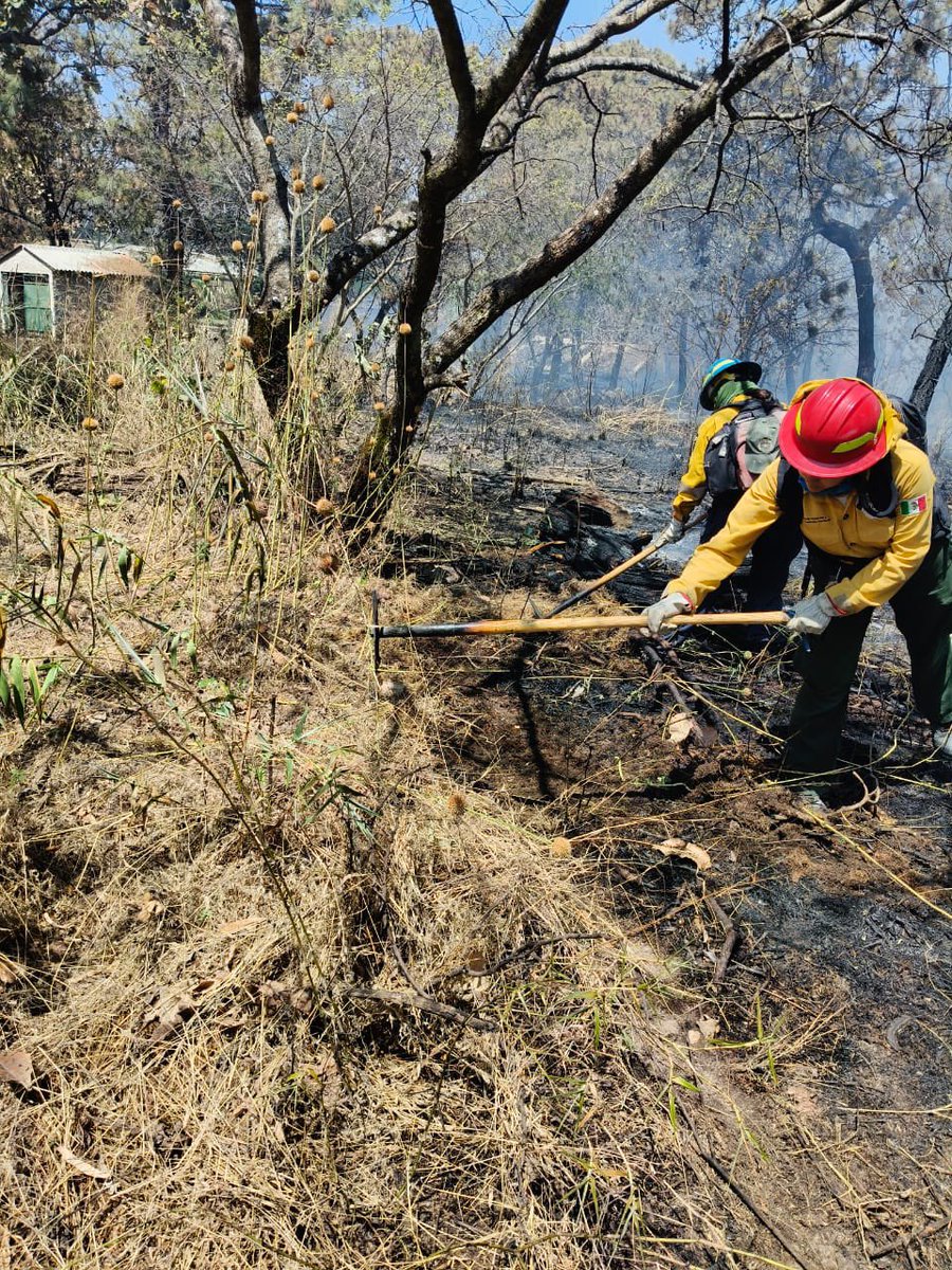 Protección Civil JAL tweet media