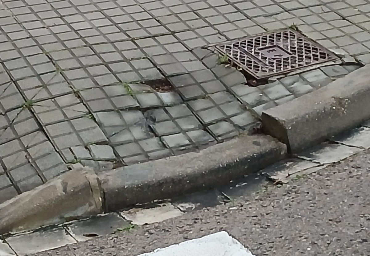 Xavier Font i Mach tweet media