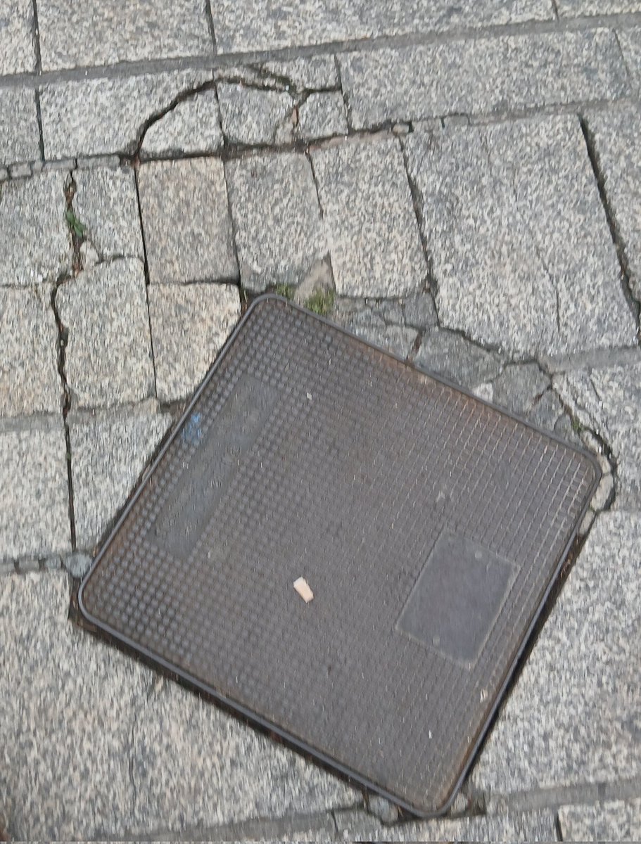 Xavier Font i Mach tweet media