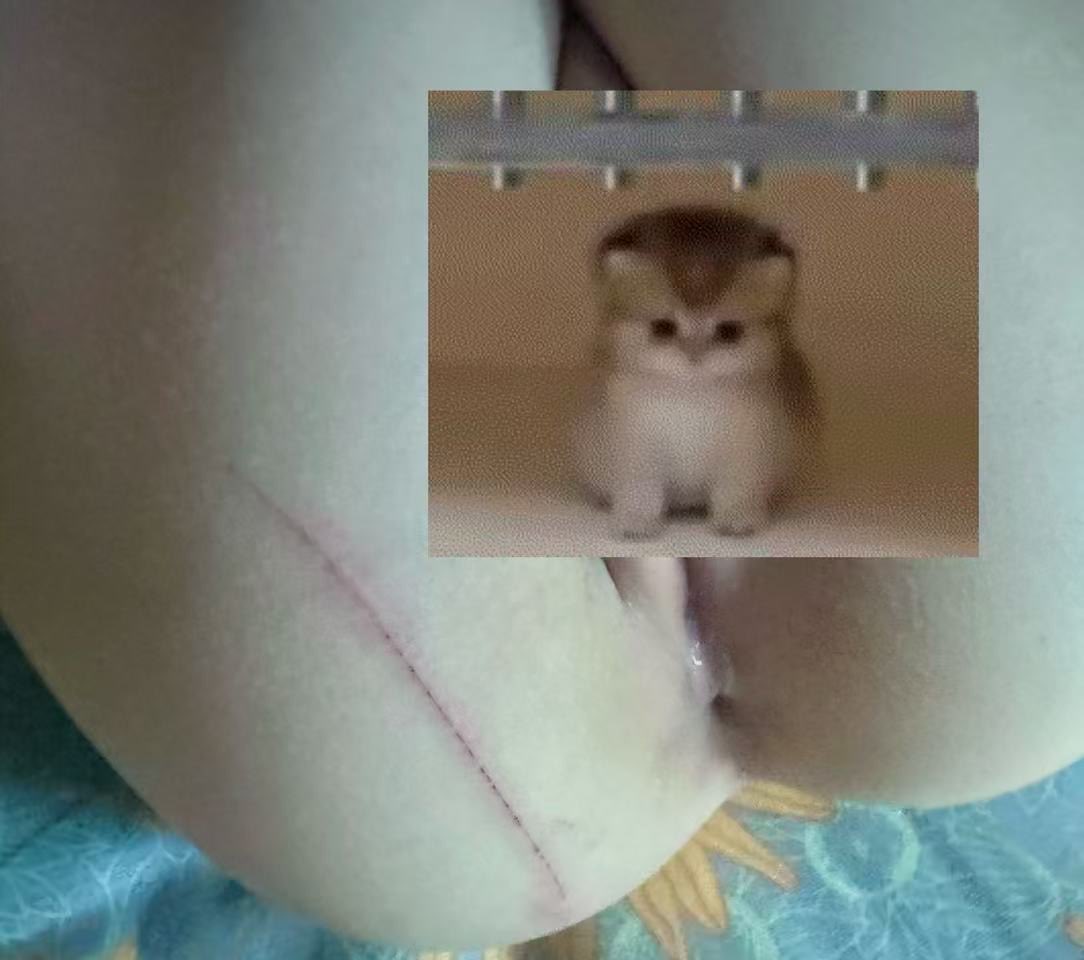 伤心苹果 tweet media