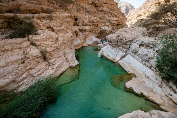 WI_OM_TOURISM's tweet photo. Imagine swimming in turquoise pools hidden inside a dramatic canyon → #Wadi_Shab 
Crystal-clear water, secret cave, pure magic
#Oman isn’t just a destination — it’s a feeling

#WadiShab #OmanAdventure #ExploreOman https://t.co/MVp9Dbl7SS
